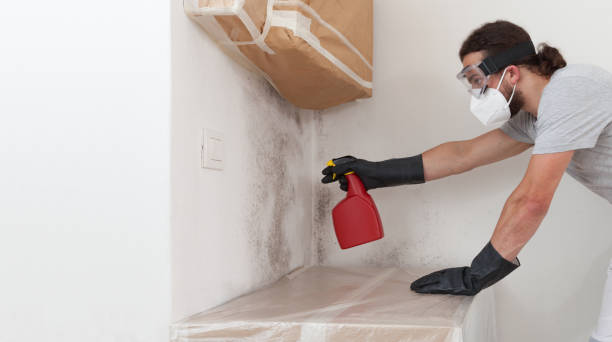 Professional Commercial Mold Remediation technician working in New Hyde Park, NY